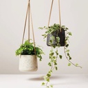 Maceta ceramica colgante mediana Gris