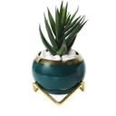 Maceta porcelana borde dorado con soporte Verde