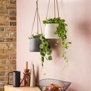 Maceta cemento colgante mediana Gris