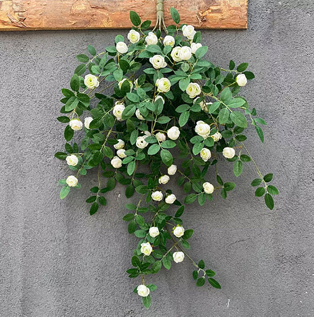 Rosa colgante Blanco
